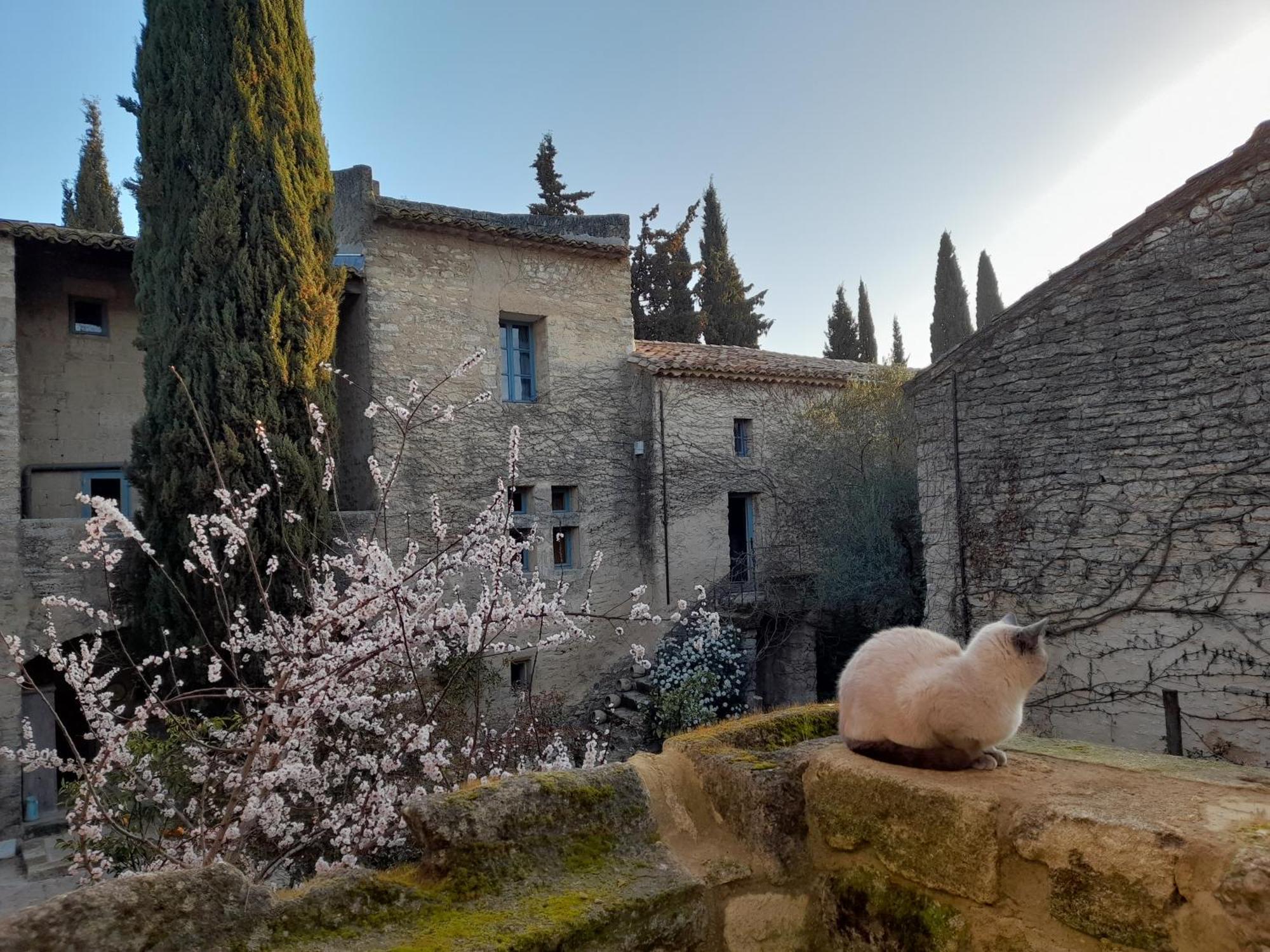 Le Mas Du Lac Uzès Exteriör bild