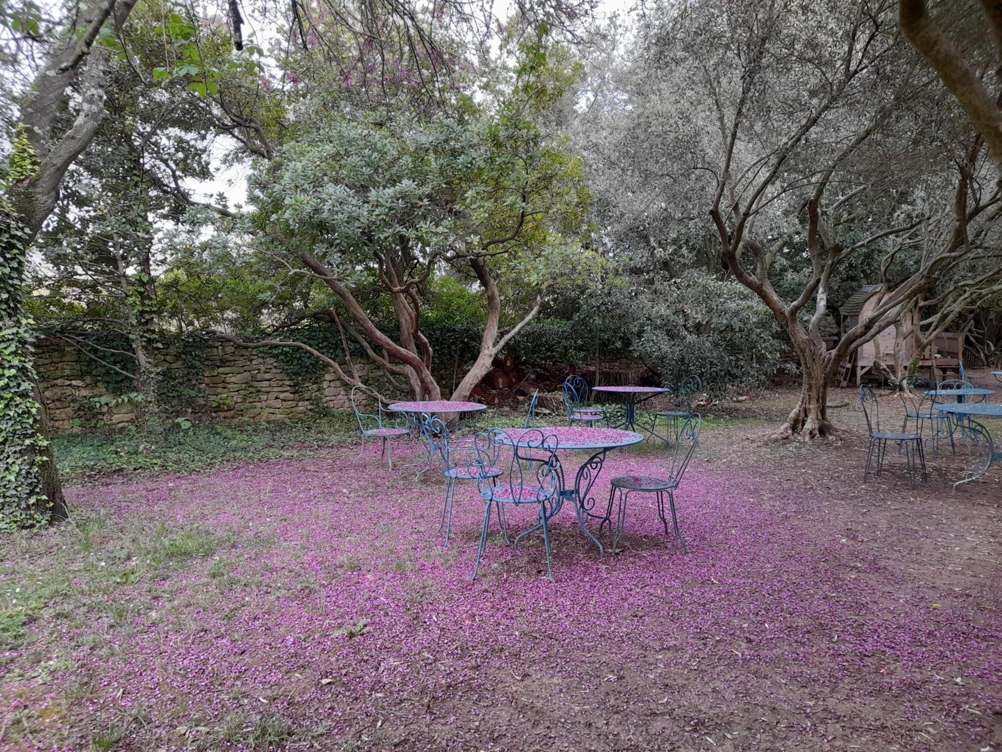 Le Mas Du Lac Uzès Exteriör bild