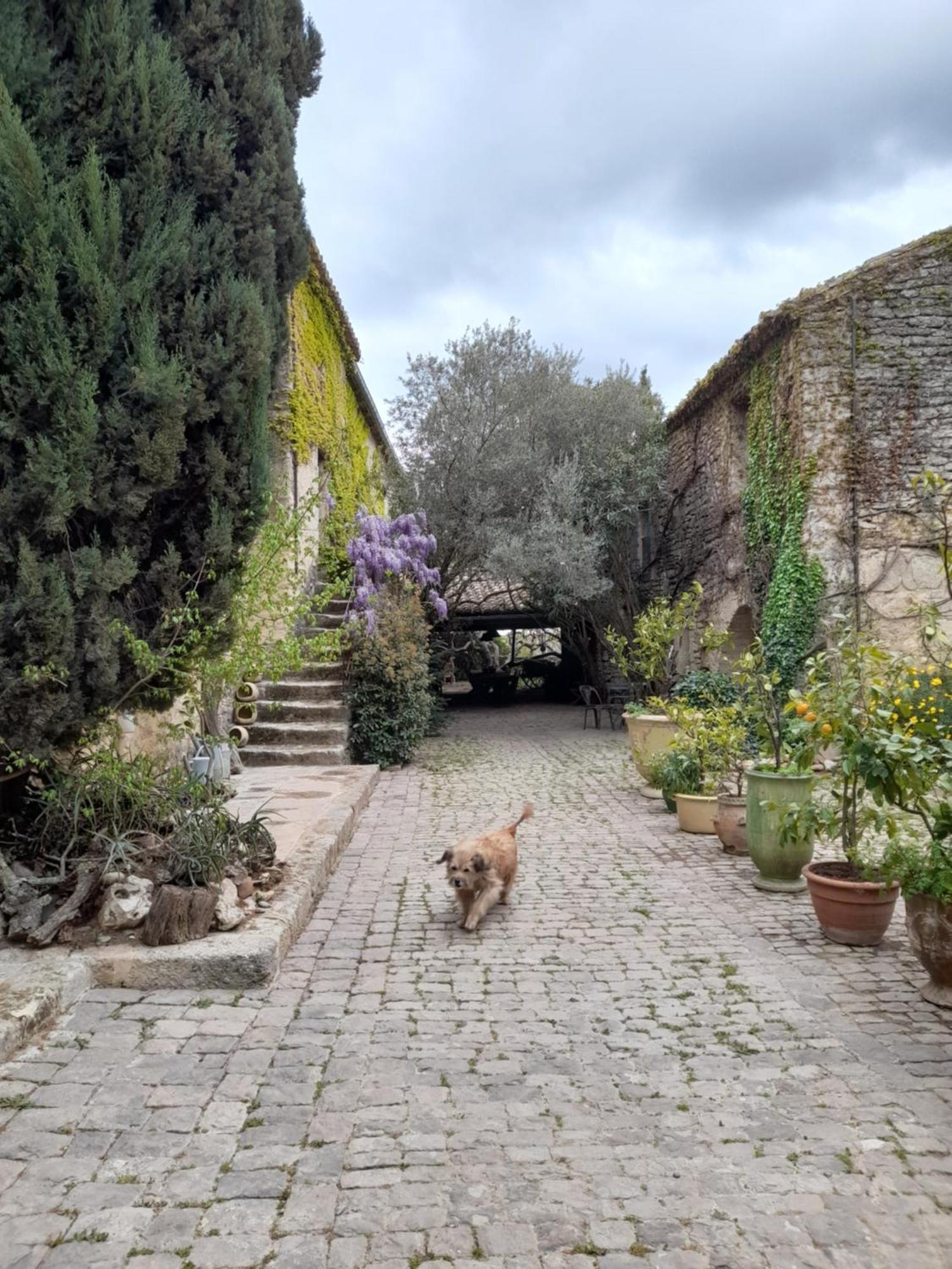 Le Mas Du Lac Uzès Exteriör bild